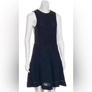 Rag and Bone A-Line Dress / Skater Skirt Dress with Leather Accents